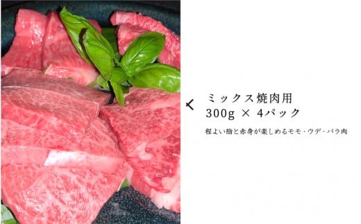 yјazΌaՂēZbg1.2kgW쒬47000