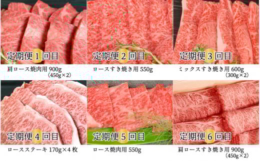 【定期便-6ヶ月】石見和牛スペシャル定期便 (焼肉・ステーキ・すき焼き)総重量約4.2kg島根県邑南町223000肉牛肉
