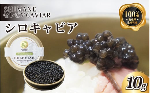 LrAuVv10gW쒬35000ECYqȆ