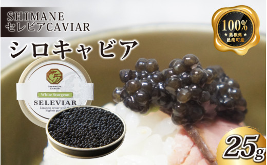 LrAuVv25gW쒬72000ECYqȆ