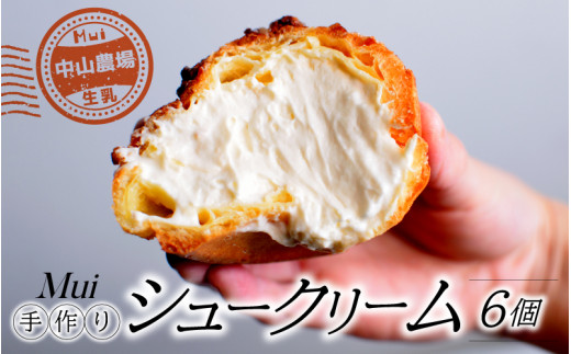 【中山農場生乳】手作り シュークリーム 6個島根県邑南町13000菓子・スイーツその他 洋菓子