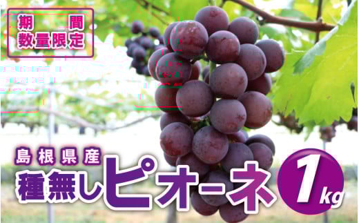 s\yx18xȏIz햳sI[l1kg  9{肨͂W쒬13000ʕEt[c}XJbgEԂǂ