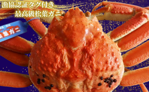 松葉ガニ600g〜700g×2杯〈活〉松葉ガニ マツバガニ 冬の旬。贅沢の極みをご家庭で 松葉カニ タグ付き カニ 蟹 新鮮 旬 プレゼント 贈与 お祝い事 贈り物 年末年始 祝辞島根県西ノ島町100000魚