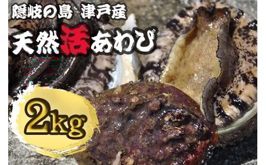 1408 天然活あわび【隠岐の島津戸産】 2s島根県隠岐の島町128000魚介・海産物貝類