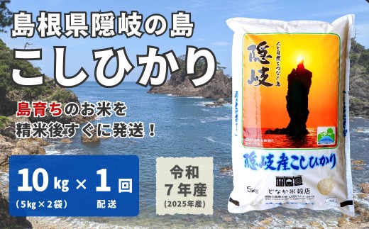 1701 【令和7年産】隠岐産こしひかり10Kg(5Kg×2袋)島根県隠岐の島町46000米・パン白米