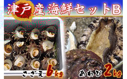 1411 隠岐津戸産 海鮮セットB島根県隠岐の島町179000魚介・海産物貝類