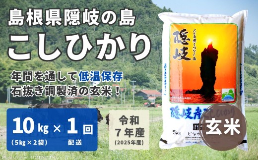 1705 【令和7年産】隠岐産 こしひかり 玄米 10kg(5kg×2袋)島根県隠岐の島町46000米・パン白米
