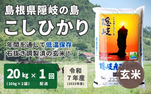 1706 【令和7年産】隠岐産 こしひかり 玄米 20kg(10kg×2袋)島根県隠岐の島町91000米・パン白米
