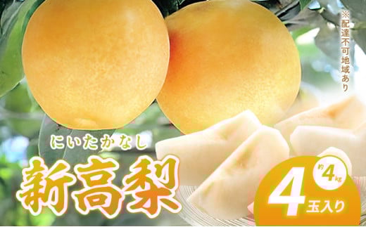 梨 2025年 新高梨(にいたかなし)4玉入り(約4kg)赤磐市赤坂産 なし フルーツ 果物岡山県赤磐市18000果物・フルーツりんご・梨