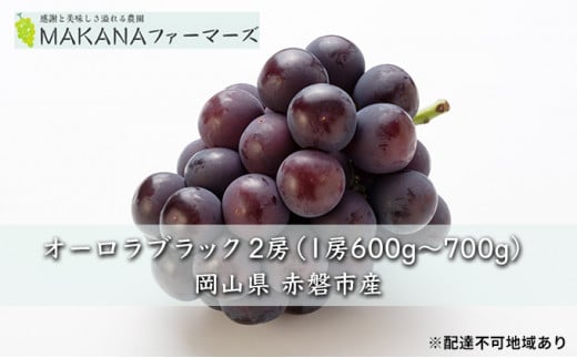 Ԃǂ 2026N s\ I[ ubN 2[i1[600g`700gj 嗱 햳 uhE  R Ԕ֎sY Y t[c ʕ Mtg MAKANAt@[}[Y ʕ I[ubNRԔ֎s1