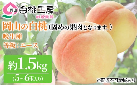 固めの 桃 2026年 先行予約 白桃 晩生種 1.5kg 5〜6玉 もも モモ 岡山 国産 フルーツ 果物 ギフト 桃茂実苑岡山県赤磐市36000果物・フルーツもも・すもも