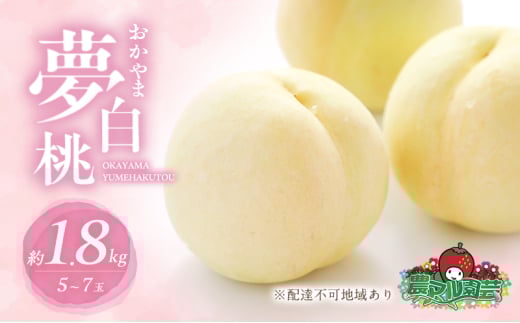 桃 2026年 先行予約 おかやま 夢 白桃 約1.8kg 5〜7玉 進物用 もも モモ フルーツ 果物 岡山 赤磐市産 農マル園芸 あかいわ農園 家庭用岡山県赤磐市24000果物・フルーツもも・すもも