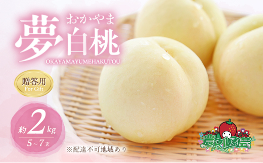 桃 2026年 先行予約 おかやま 夢 白桃 約2kg 5〜7玉 贈答用 もも モモ フルーツ 果物 岡山 赤磐市産 農マル園芸 あかいわ農園岡山県赤磐市39000果物・フルーツもも・すもも