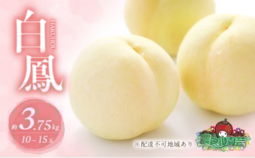 桃 2026年 先行予約 白桃 白鳳 約3.75kg 10〜15玉 進物用 もも モモ フルーツ 果物 岡山 赤磐市産 農マル園芸 あかいわ農園 家庭用岡山県赤磐市33000果物・フルーツもも・すもも