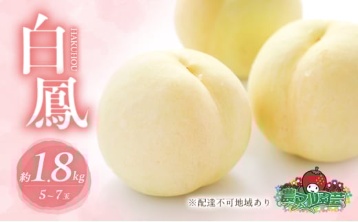 桃 2026年 先行予約 白桃 白鳳 約1.8kg 5〜7玉 進物用 もも モモ フルーツ 果物 岡山 赤磐市産 農マル園芸 あかいわ農園岡山県赤磐市20000果物・フルーツもも・すもも