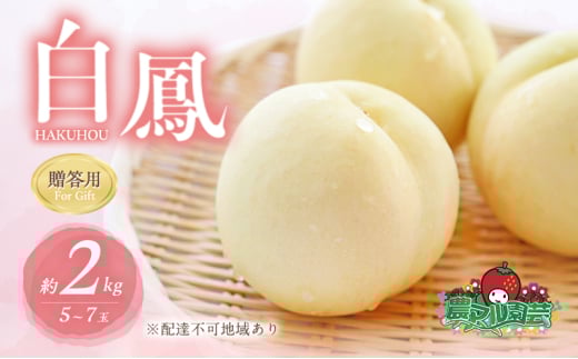 桃 2026年 先行予約 白桃 白鳳 約2kg 5〜7玉 贈答用 もも モモ フルーツ 果物 岡山 赤磐市産 農マル園芸 あかいわ農園岡山県赤磐市28000果物・フルーツもも・すもも