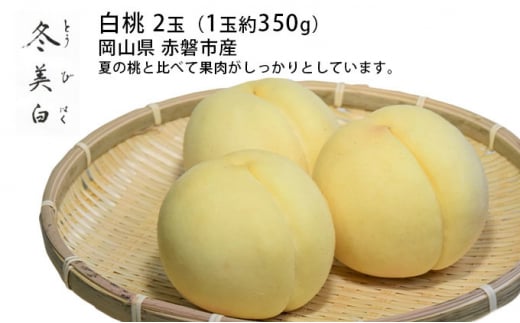 桃 2025年 先行予約 白桃 冬美白 とうびはく 2玉 1玉約350g もも モモ 令和7年 岡山 赤磐市産 国産 フルーツ 果物 ギフト岡山県赤磐市20000果物・フルーツもも・すもも