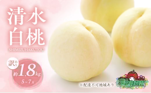 桃 2026年 先行予約 訳あり品 清水 白桃 約1.8kg 5〜7玉 もも モモ フルーツ 果物 岡山 赤磐市産 農マル園芸 あかいわ農園 甘い 果肉 人気岡山県赤磐市19000果物・フルーツもも・すもも
