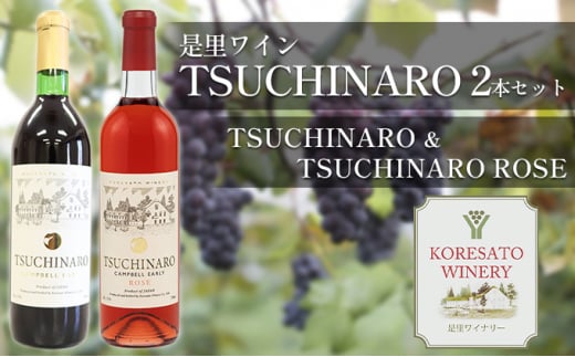 是里 ワイン TSUCHINARO 2本 セット 岡山 赤磐市岡山県赤磐市21000酒・アルコールワイン