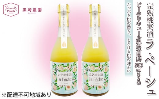    Ey[V   500ml×2{ Zbg R Ԕ֎sY ʕ t[c s[` L[RԔ֎s24000EAR[ECXL[EmEL[