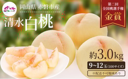 桃 2026年 先行予約 清水 白桃 をお届け!約3.0kg 9〜12玉 糖度センサー選果 糖度12度以上 もも モモ 岡山県 赤磐市産 国産 フルーツ あみかフルーツ岡山県赤磐市47000果物・フルーツもも・すも