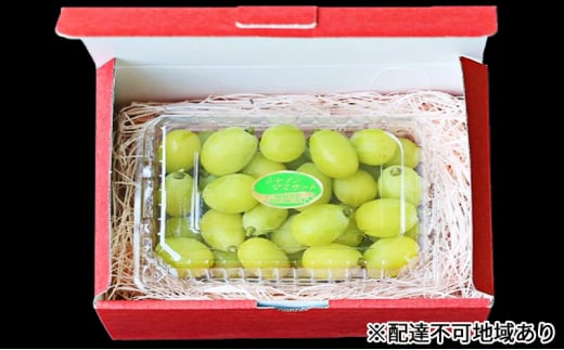 早期受付 シャイン マスカット 1パック(750g以上)  桃茂実苑岡山県赤磐市12000果物・フルーツマスカット・ぶどう