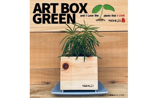 CeA ART BOX GREEN / 003(ؖځj A[g{bNX ϗtA A R Ԕ֎s takejii craftRԔ֎s10000ߗށEiEH|ȋ iEH|i