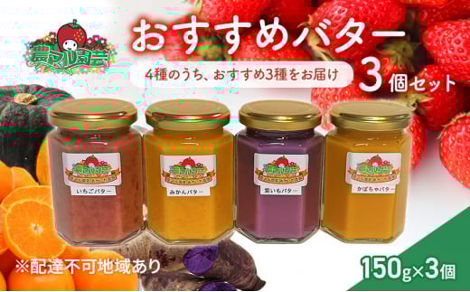 フルーツ・ベジタブル バター 3種の選定お任せ いちご みかん 紫いも かぼちゃ 農マル園芸 あかいわ農園 岡山岡山県赤磐市13000果物・フルーツいちご