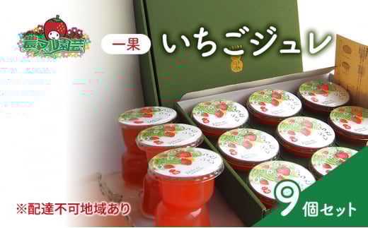 フルーツジュレ 一果 いちご 9個 セット フルーツ 紅ほっぺ 農マル園芸 あかいわ農園 岡山岡山県赤磐市13000鍋セット・総菜・加工食品その他 鍋セット・総菜・加工食品
