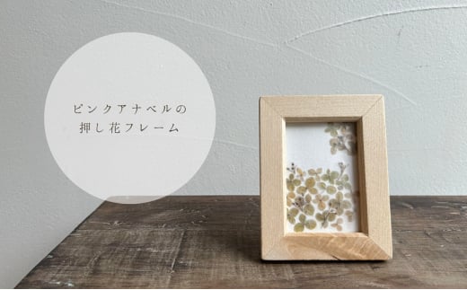 zԂ̉ԃt[ 10cm×7.7cm CeA G icegreenRԔ֎s10000ߗށEiEH|ȋ iEH|i