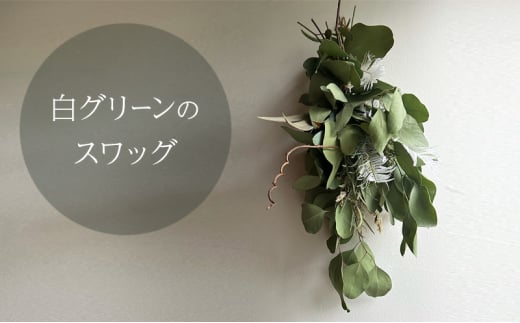 O[̃XbO  40cm×17cm CeA G icegreenRԔ֎s10000ߗށEiEH|ȋ iEH|i