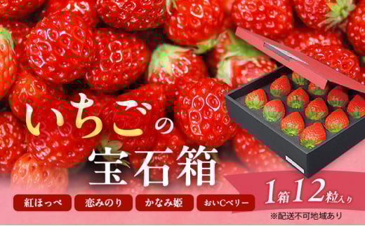 いちご 2026年 先行予約 いちごの宝石箱 1箱 12粒入り イチゴ 苺 果物 岡山県 赤磐市岡山県赤磐市10000果物・フルーツいちご