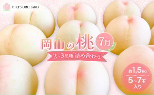 桃 【訳あり 2級品】 2026年 先行予約 岡山の桃 7月の桃 2〜3品種 詰め合わせ セット 5〜7玉入り 約1.5kg  MIKI’S ORCHARD  もも モモ 果物 岡山 家庭用岡山県赤磐市20000果物・フルーツもも・すもも