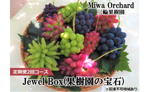 ぶどう 2026年 先行予約 ジュエルボックス 皮ごと食べることのできる 葡萄 4〜5品種 詰合せ 約2kg 定期便 2回 コース ブドウ 葡萄 岡山県 赤磐市産 国産 フルーツ 果物 ギフト 三輪果樹園 岡山