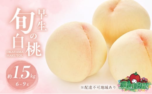  2026N s\ ̏{  1.5kg 6`9 ip   t[c ʕ R Ԕ֎sY _}| _RԔ֎s17000ʕEt[cE