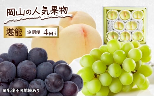 定期便 2026年 先行予約 岡山の人気果物 堪能 4回コース 清水白桃 桃 白桃 ぶどう ピオーネ シャインマスカット 赤磐市岡山県赤磐市173000果物・フルーツもも・すもも