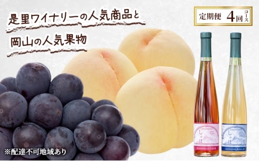  2026N s\ Ci[̃CƉR̐lCʕ ReXg 4R[X   C Ԃǂ sI[l  Ԕ֎sRԔ֎s67000ʕEt[cE