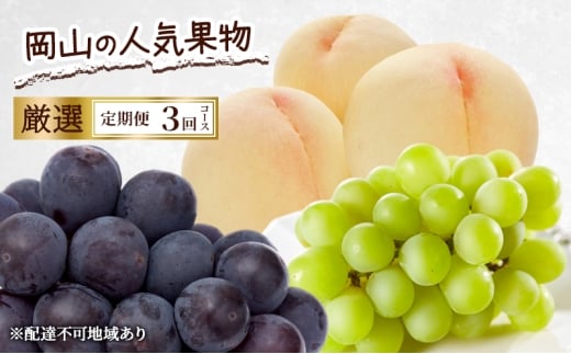  2026N s\ R̐lCʕ I 3R[X   Ԃǂ sI[l VC}XJbg  Ԕ֎sRԔ֎s92000ʕEt[cE