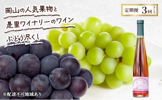  2026N s\ R̐lCʕƐCi[̃C Ԃǂs 3R[X Ԃǂ sI[l C VC}XJbg  Ԕ֎sRԔ֎s56000EAR[C