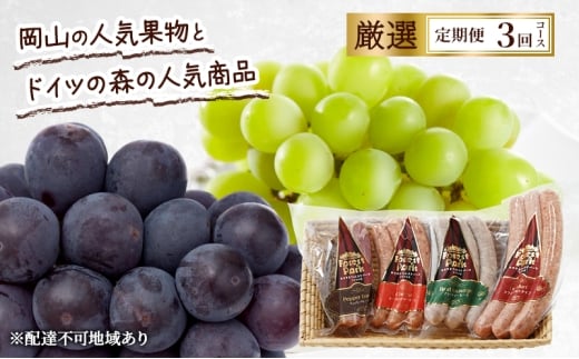  2026N s\ R̐lCʕƃhCc̐X̐lCi I 3R[X Ԃǂ j[sI[l VC}XJbg  \[Z[W Ԕ֎sRԔ֎s57000EAR[C