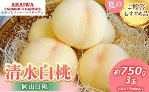 桃 2026年 先行予約 清水 白桃 約750g 3玉 もも 岡山県 赤磐市産 フルーツ 果物 あかいわファーマーズガーデン 果物類岡山県赤磐市14000果物・フルーツもも・すもも