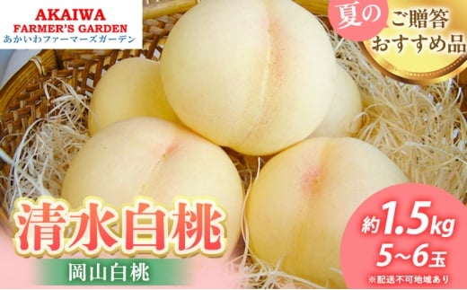 桃 2026年 先行予約 清水 白桃 約1.5kg 5〜6玉 もも 岡山県 赤磐市産 フルーツ 果物 あかいわファーマーズガーデン岡山県赤磐市28000果物・フルーツもも・すもも