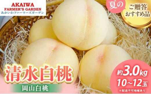 桃 2026年 先行予約 清水 白桃 約3.0kg 10〜12玉 もも 岡山県 赤磐市産 フルーツ 果物 あかいわファーマーズガーデン 果物類岡山県赤磐市50000果物・フルーツもも・すもも