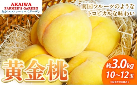 桃 2026年 先行予約 黄金桃 約3.0kg 10〜12玉 もも 岡山県 赤磐市産 フルーツ 果物 あかいわファーマーズガーデン 果物類岡山県赤磐市48000果物・フルーツもも・すもも