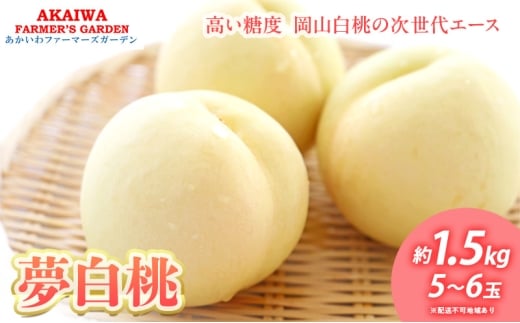 桃 2026年 先行予約 おかやま 夢 白桃 約1.5kg 5〜6玉 もも 岡山県 赤磐市産 フルーツ 果物 あかいわファーマーズガーデン岡山県赤磐市28000果物・フルーツもも・すもも