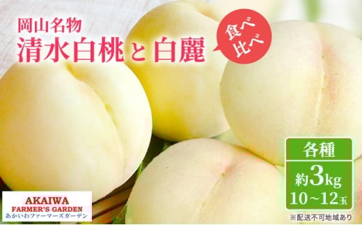 桃 2026年 先行予約 定期便 岡山名物 白桃 食べ比べ ! 清水白桃 と 白麗 各約3.0kg 10〜12玉 あかいわファーマーズガーデン 果物岡山県赤磐市98000果物・フルーツもも・すもも