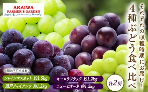 Ԃǂ 2026N s\ Ԃǂ Hה 1.2kg`1.5kg×4  R Ԕ֎sY t[c ʕ ʕ }XJbgRԔ֎s78000ʕEt[c}XJbgEԂǂ