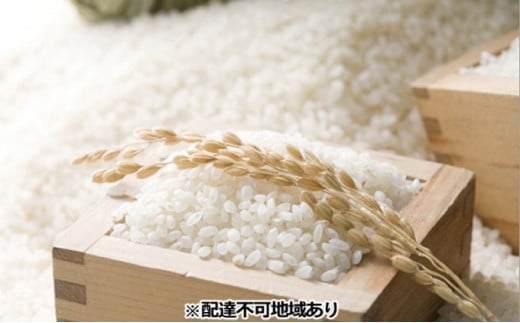 令和7年度産 きぬむすめ 精米 5kg 岡山県 赤磐市産 お米岡山県赤磐市18000米・パン白米