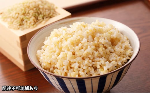 令和7年度産 きぬむすめ 玄米 10kg 岡山県 赤磐市産 お米岡山県赤磐市34000米・パン白米
