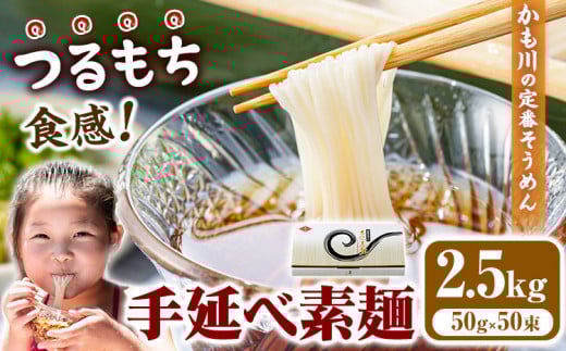 素麺 ソーメン お徳用手延べ素麺 50g × 50束 2.5kg かも川手延素麺株式会社《30日以内に発送予定(土日祝除く)》岡山県 浅口市 紙箱入 お土産 ご家庭用  そうめん岡山県浅口市19000麺そうめん・